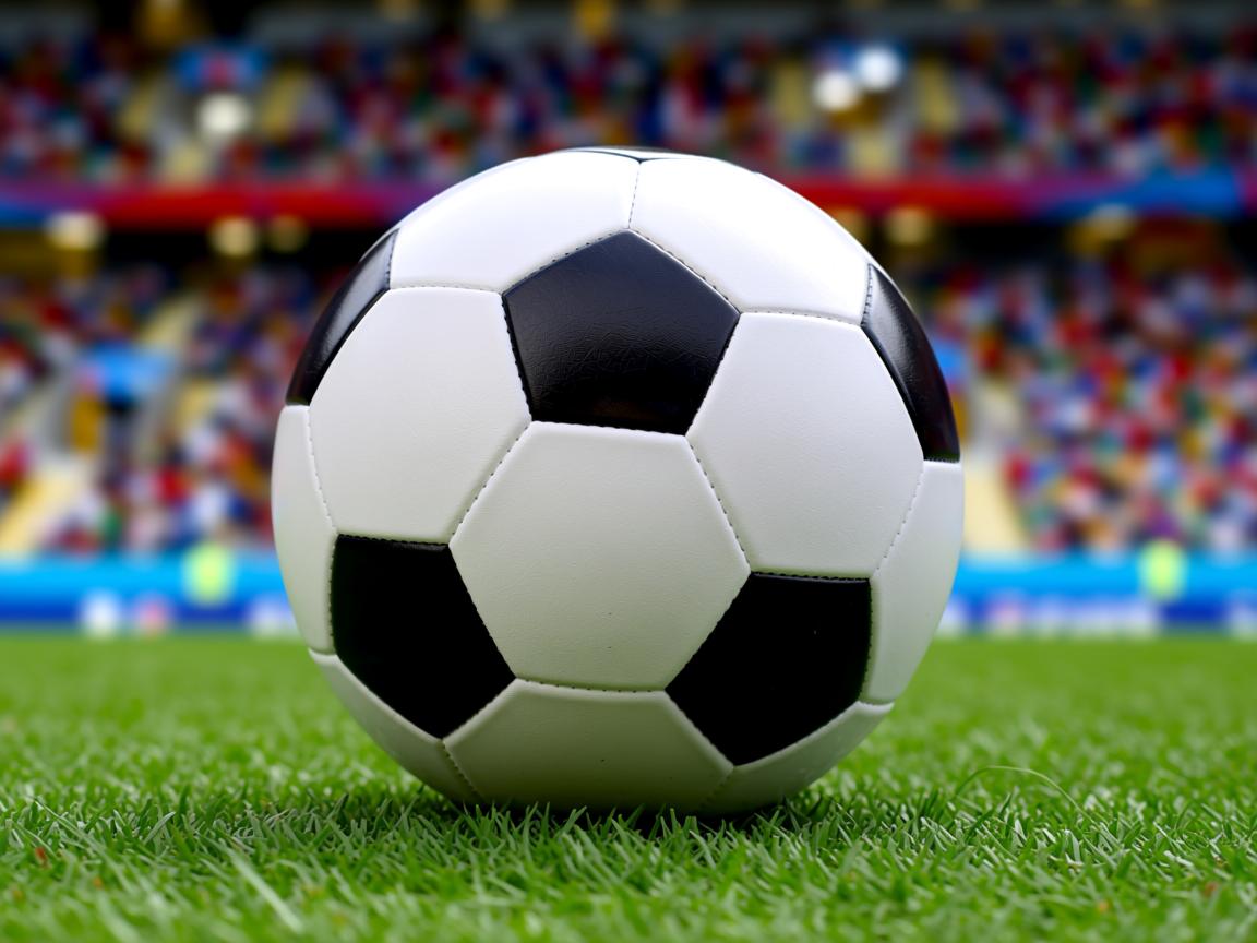 爱游戏体育入口-新西兰球队士气高涨，备战备战