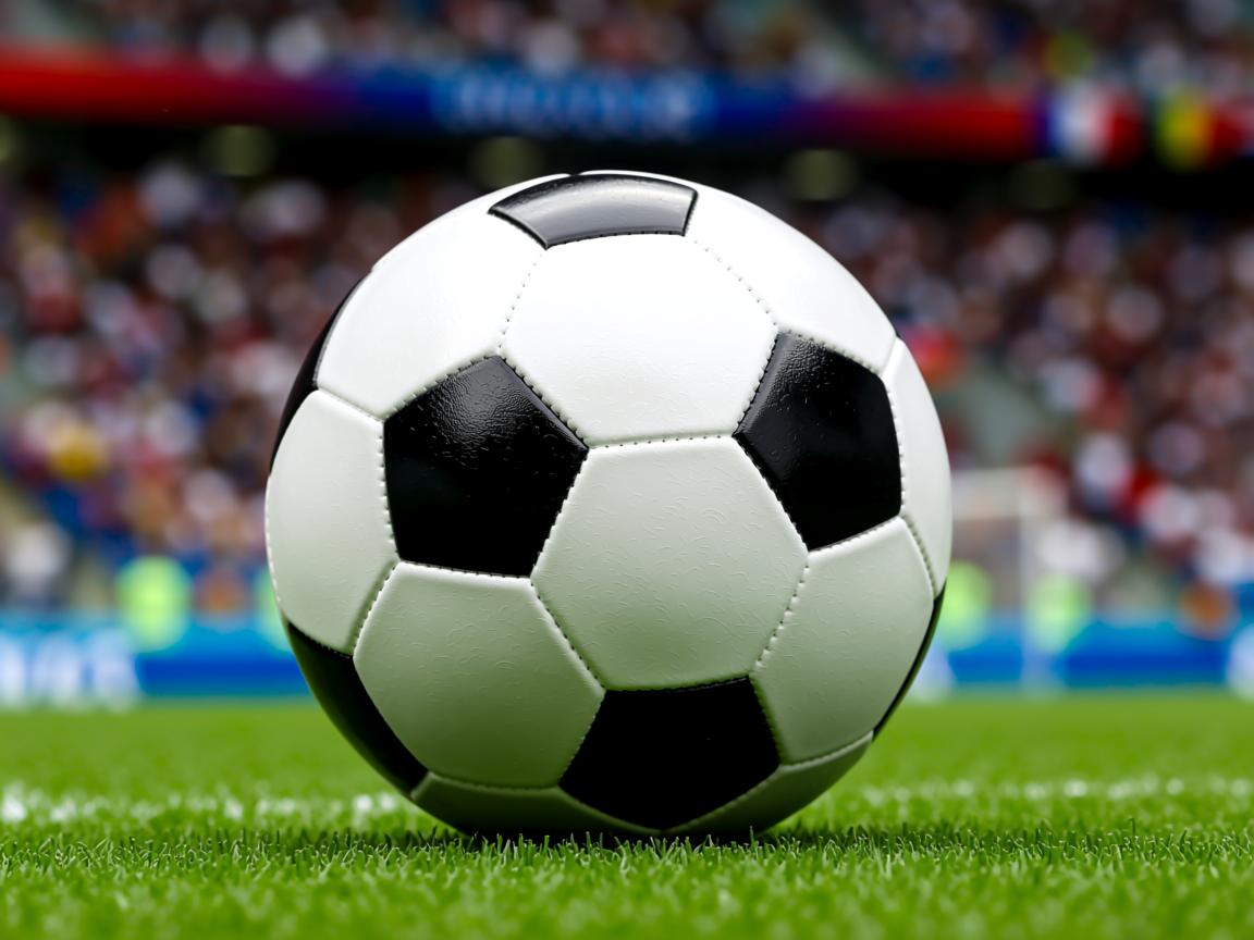 爱游戏官网-女子自由泳100米美队三人进决赛，女子自由泳100米美队三人进决赛视频  第3张