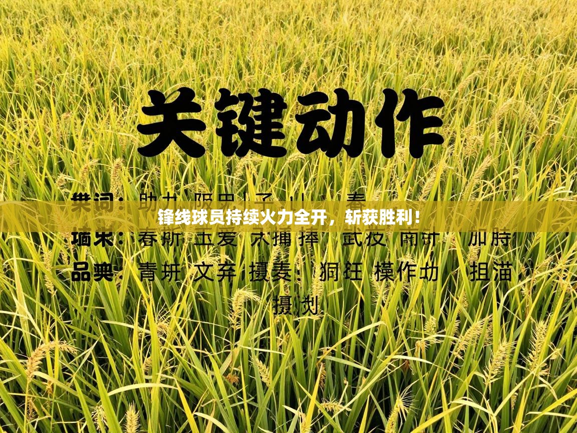 锋线球员持续火力全开,斩获胜利! 第1张