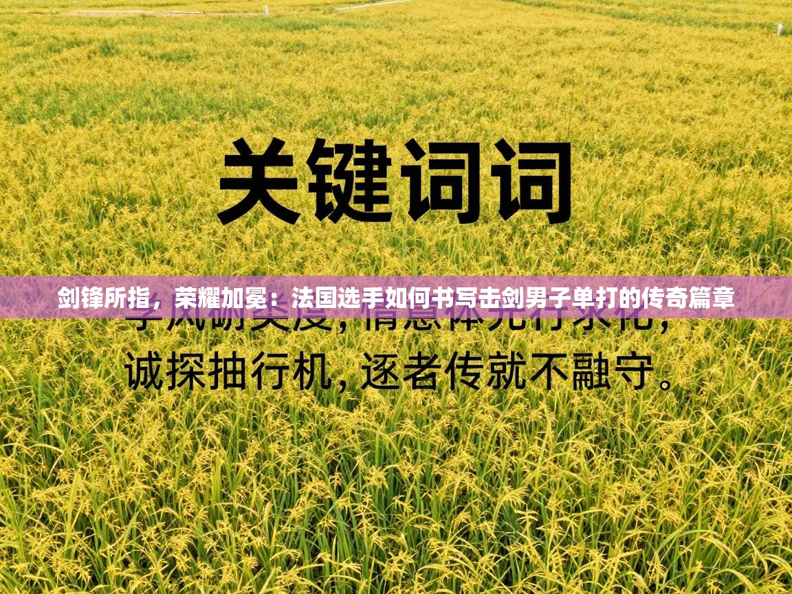 剑锋所指，荣耀加冕：法国选手如何书写击剑男子单打的传奇篇章  第1张