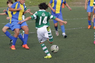 爱游戏体育娱乐-体育新闻中心发布体育内容原创度评估智能工具，原创体育sports  第1张