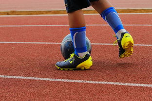 爱游戏app安装-明星球员带动体育产业发展，打造体育明星的弊端